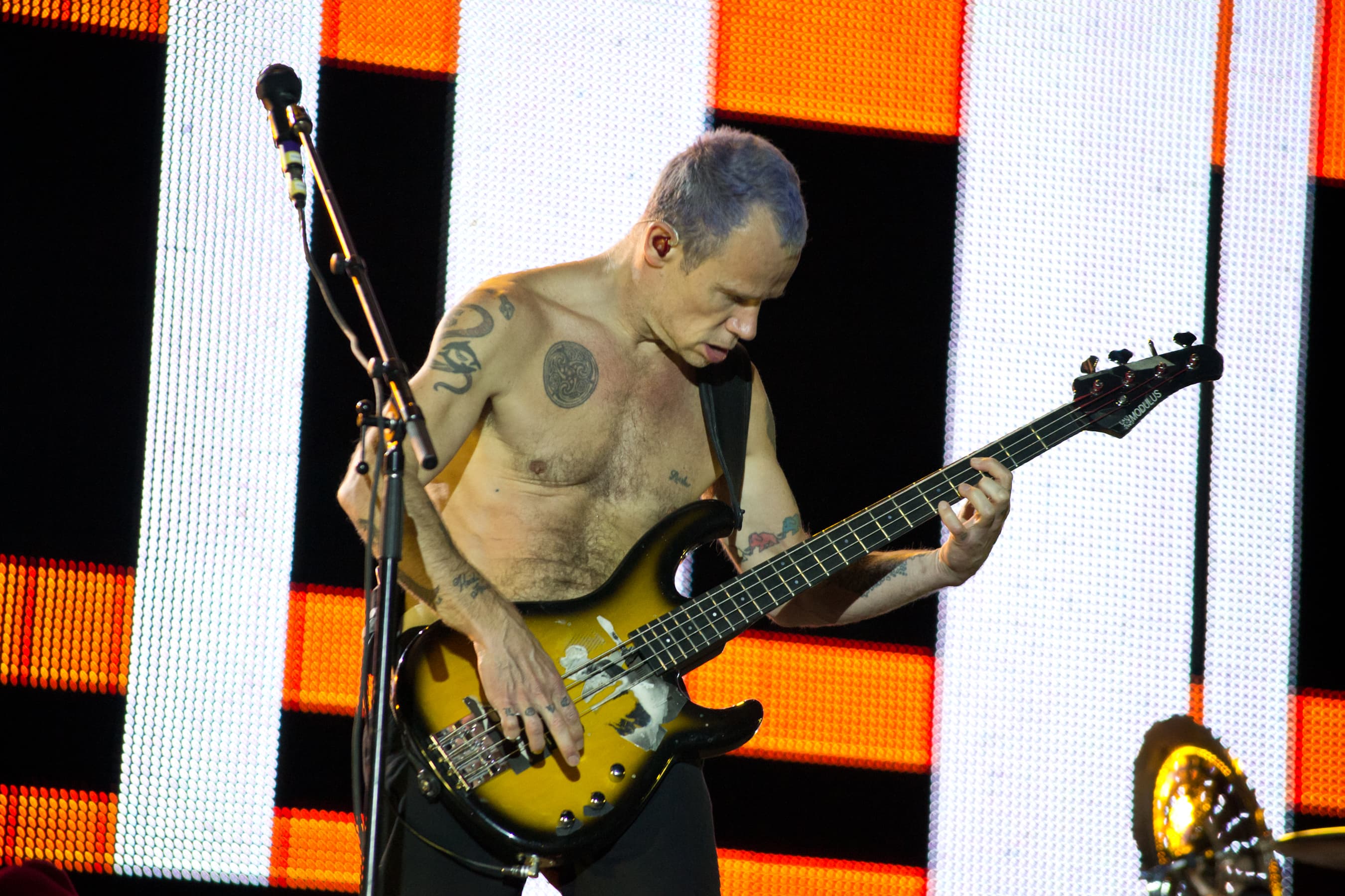 Chili peppers